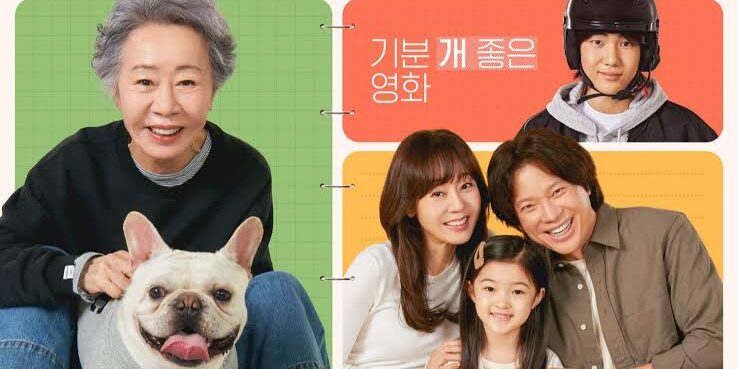 WhatsApp Image 2024-08-25 at 18.17.35