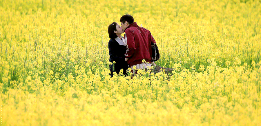 Se a vida te der tangerinas