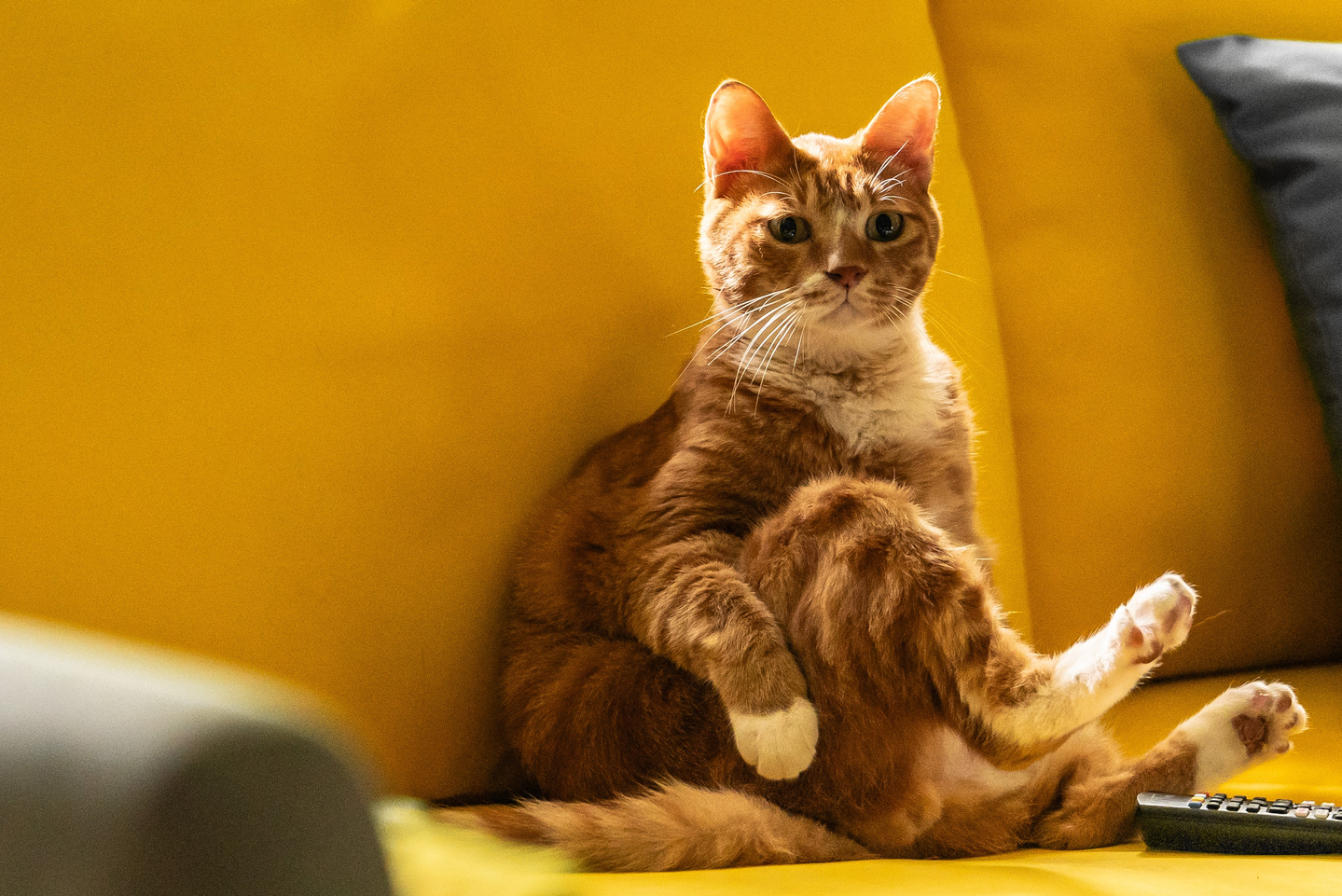 My daughter is a zombie